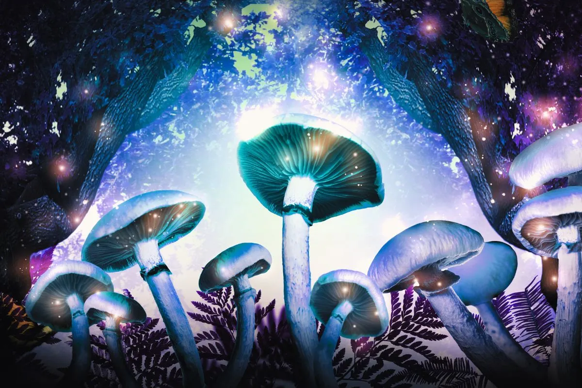 colorful magic mushrooms