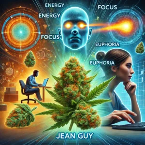 Jean-Guy Strain Effects What to Expect