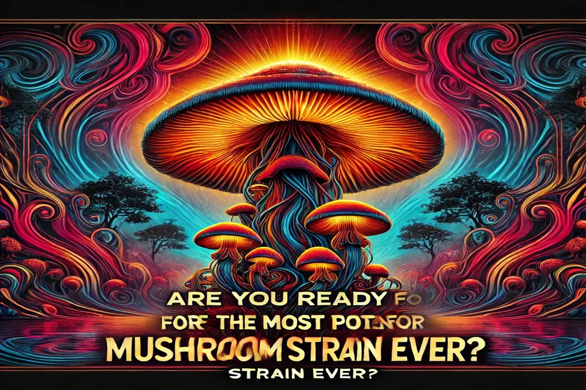 Are You Ready for the Most Potent Mushroom Strain Ever